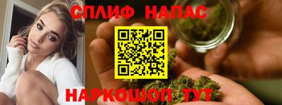 молекула духа Волжский