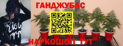 молекула духа Волжский