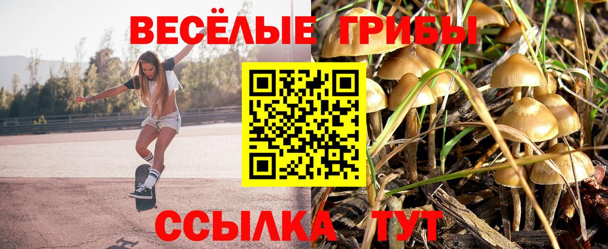 Псилоцибиновые грибы GOLDEN TEACHER  Галлюциногенные грибы мицелий  Балахна  Вход с VPN 