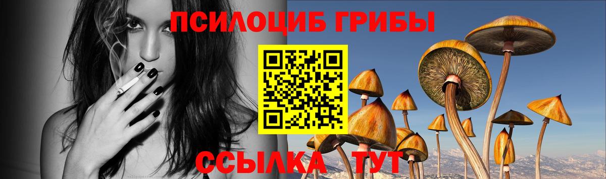 Псилоцибиновые грибы прущие грибы Балахна